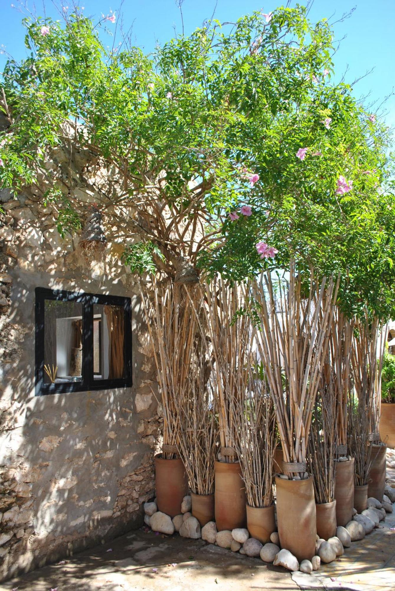 Maison Sidi Et Lalla Essaouira Luaran gambar